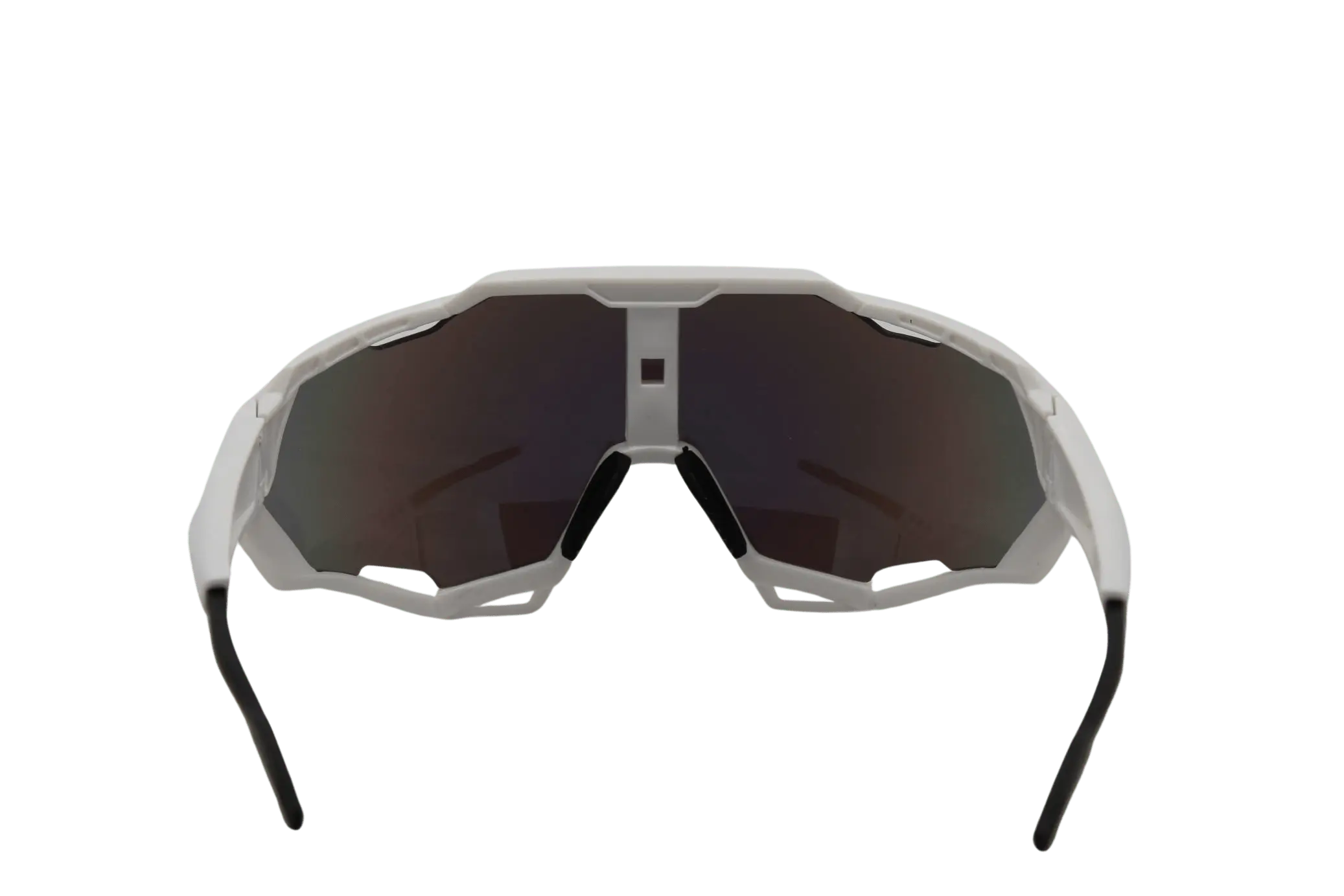Arktisglanz Raver Ski-Brille